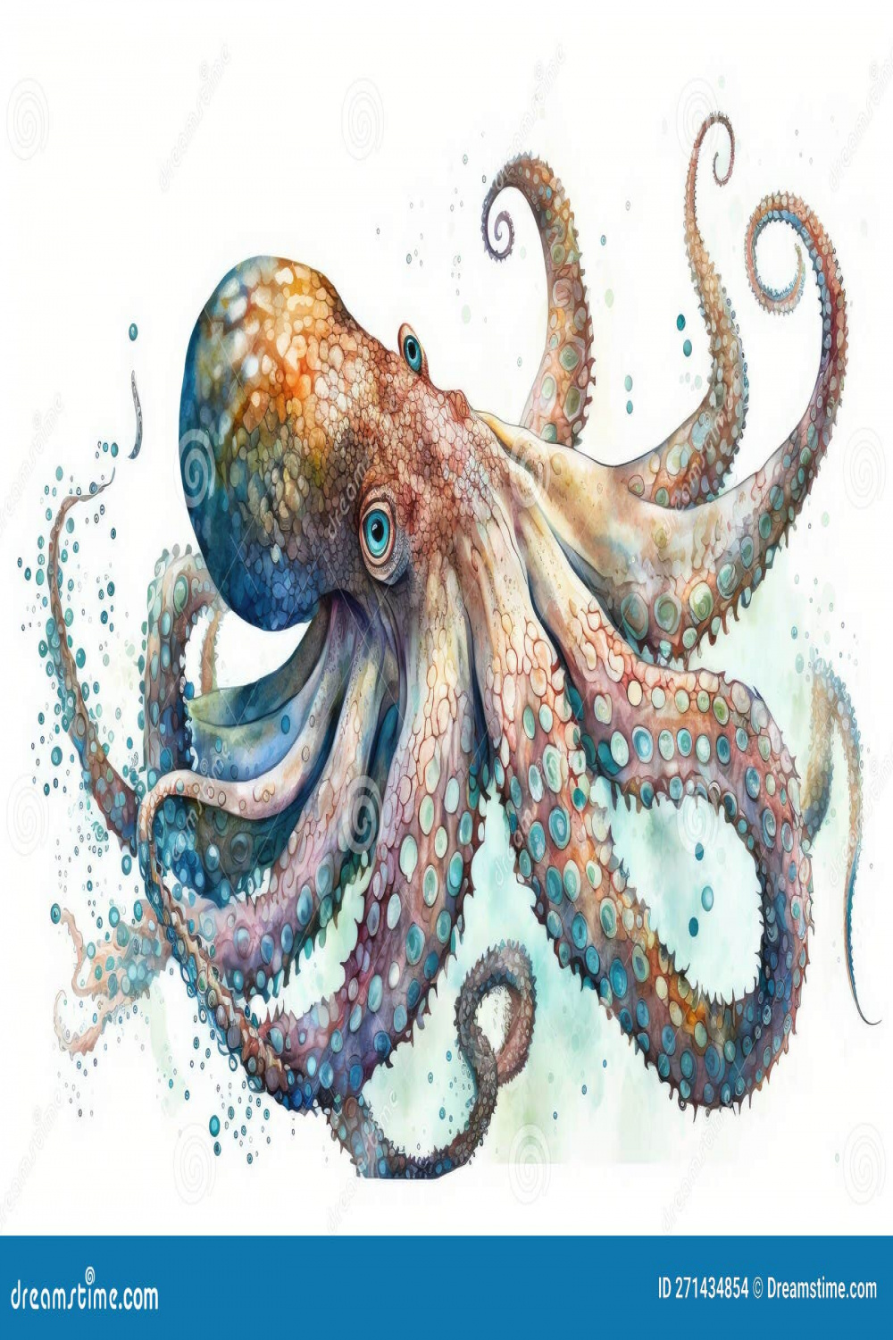 Octopus Watercolor, Close Up Predator Animals Wildlife