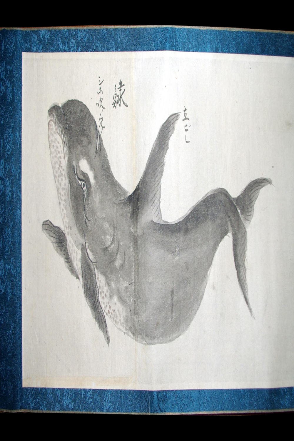 Offering of the Day: A Charming Japanese Whale Scroll