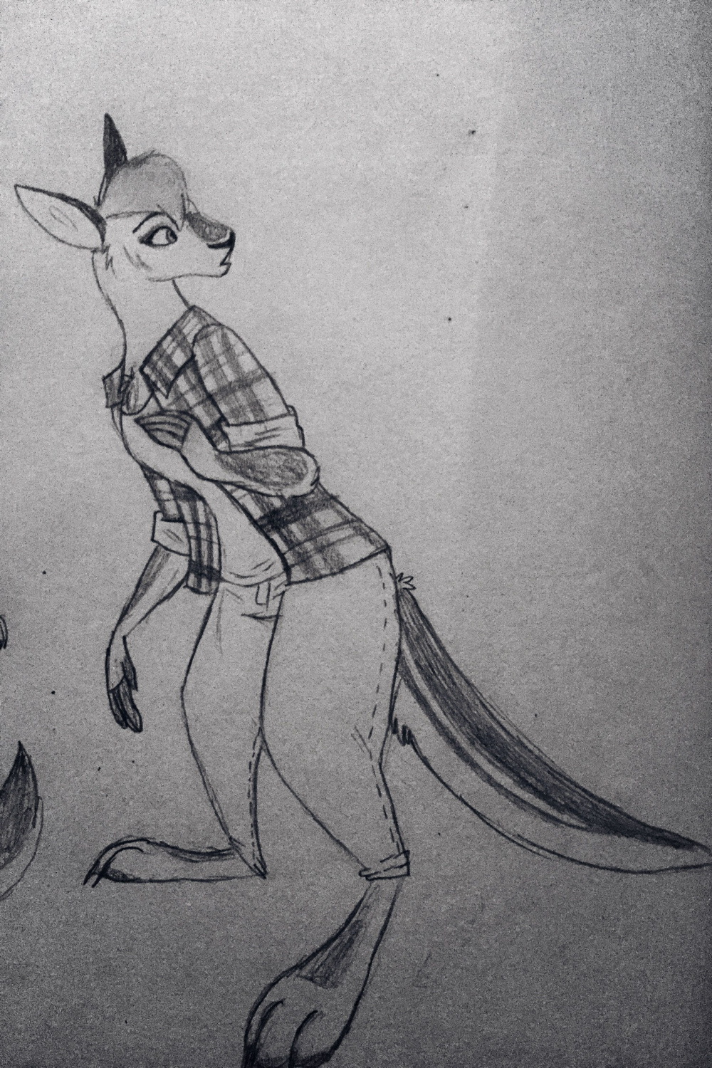 One of my OCs is a kangaroo named Camilla  Furry art, Kangaroo