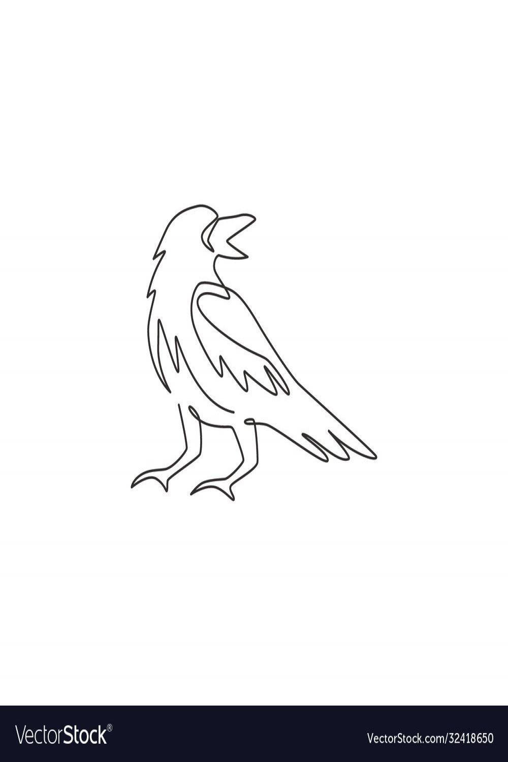 One single line drawing mysterious raven vector image on