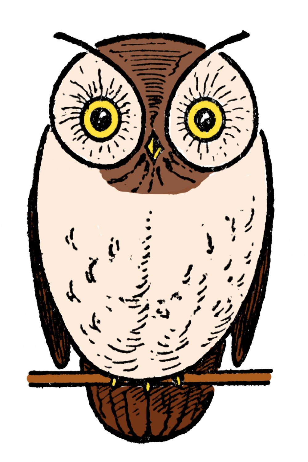 Owl Drawing Step by Step ( ways)! - The Graphics Fairy