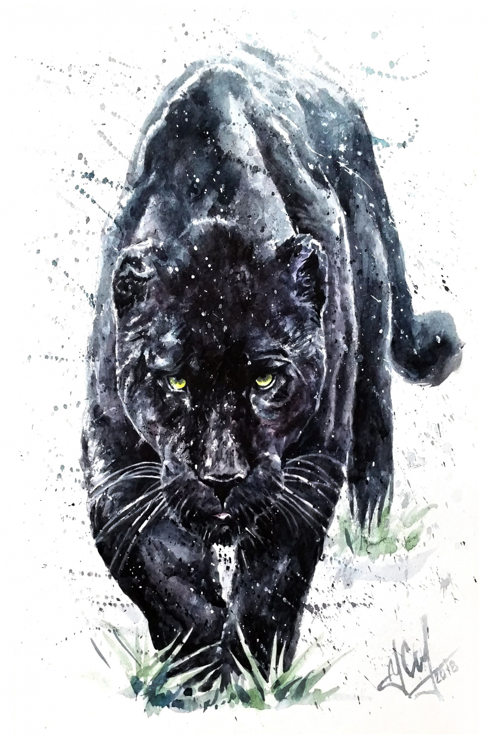 panther, black, watercolor, jaguar, background, animal, white