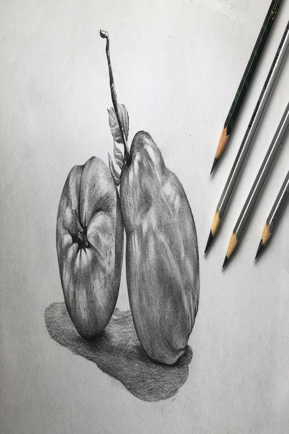 Pears drawing in pencil  fruit drawing  pencil sketch for beginners