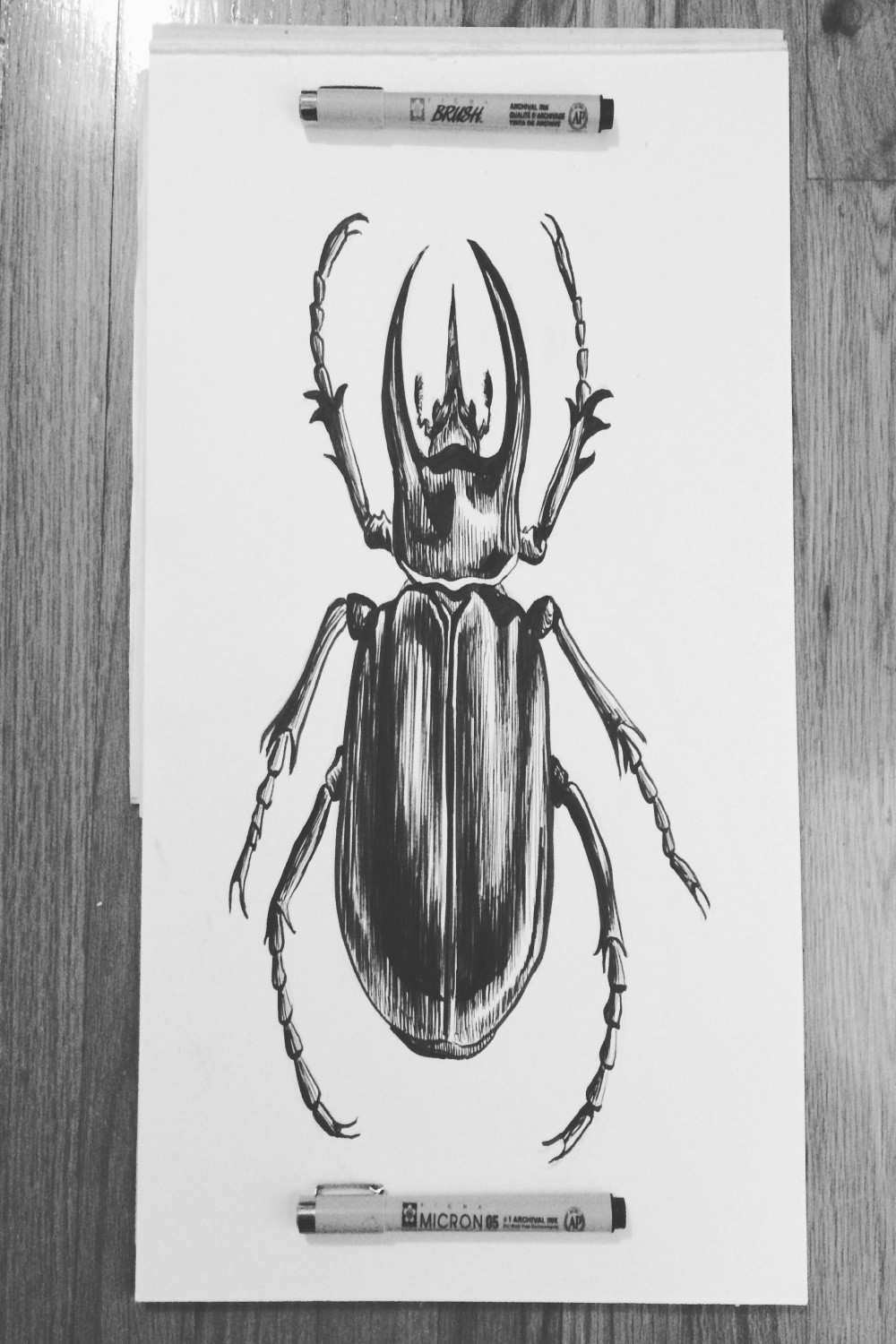 Pen & Ink: Scientific Illustration  Pattie Schleicher  Skillshare