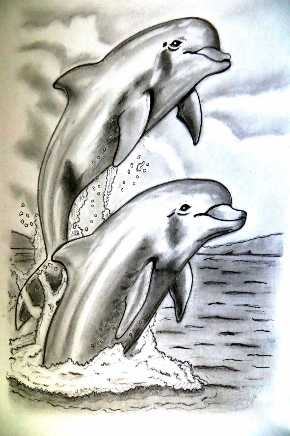 pencil #drawing #art #dolphin  Dolphin drawing, Cool pencil