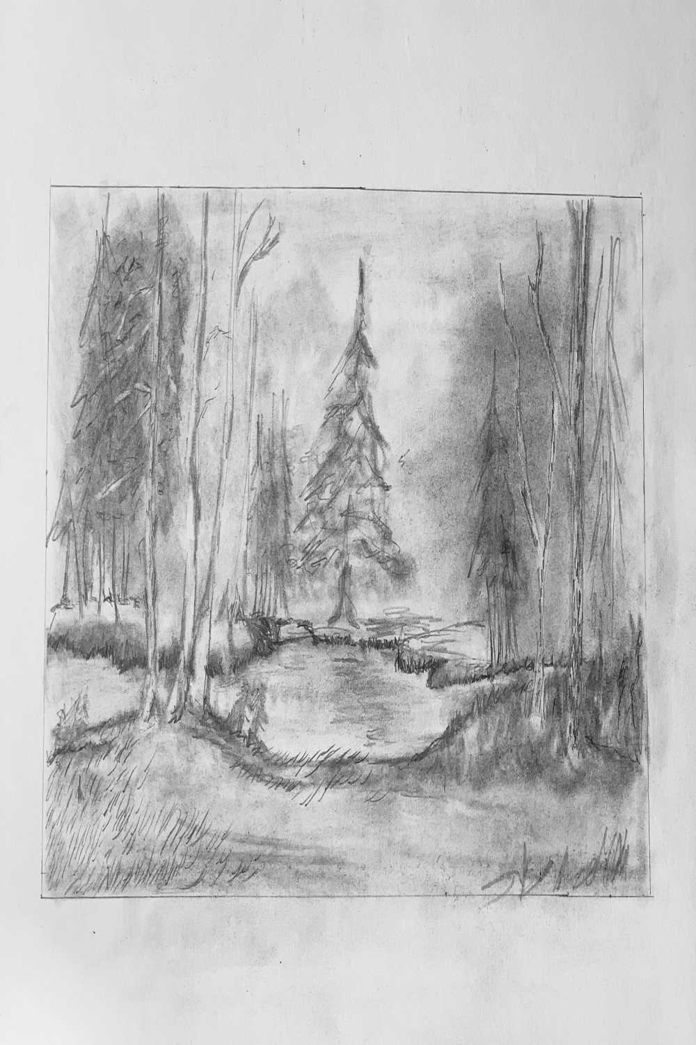 Pencil Drawing Forest Lake Original Pencil Drawing Drawing A