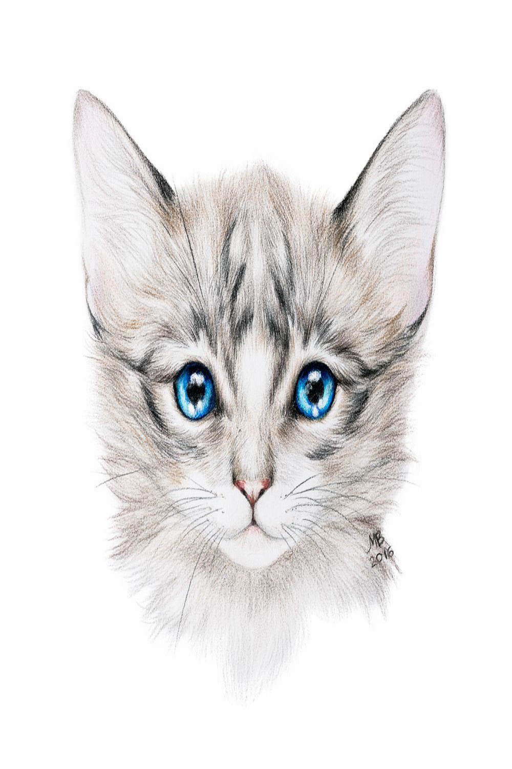 Pencil drawing of a cat auf Behance