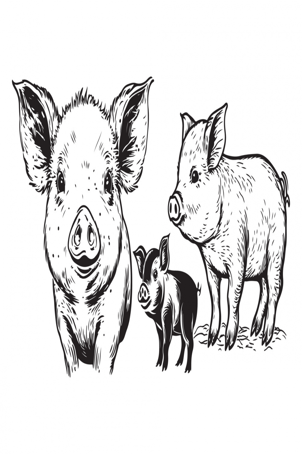 pig hand drawing sketch black outline vector isolated on white