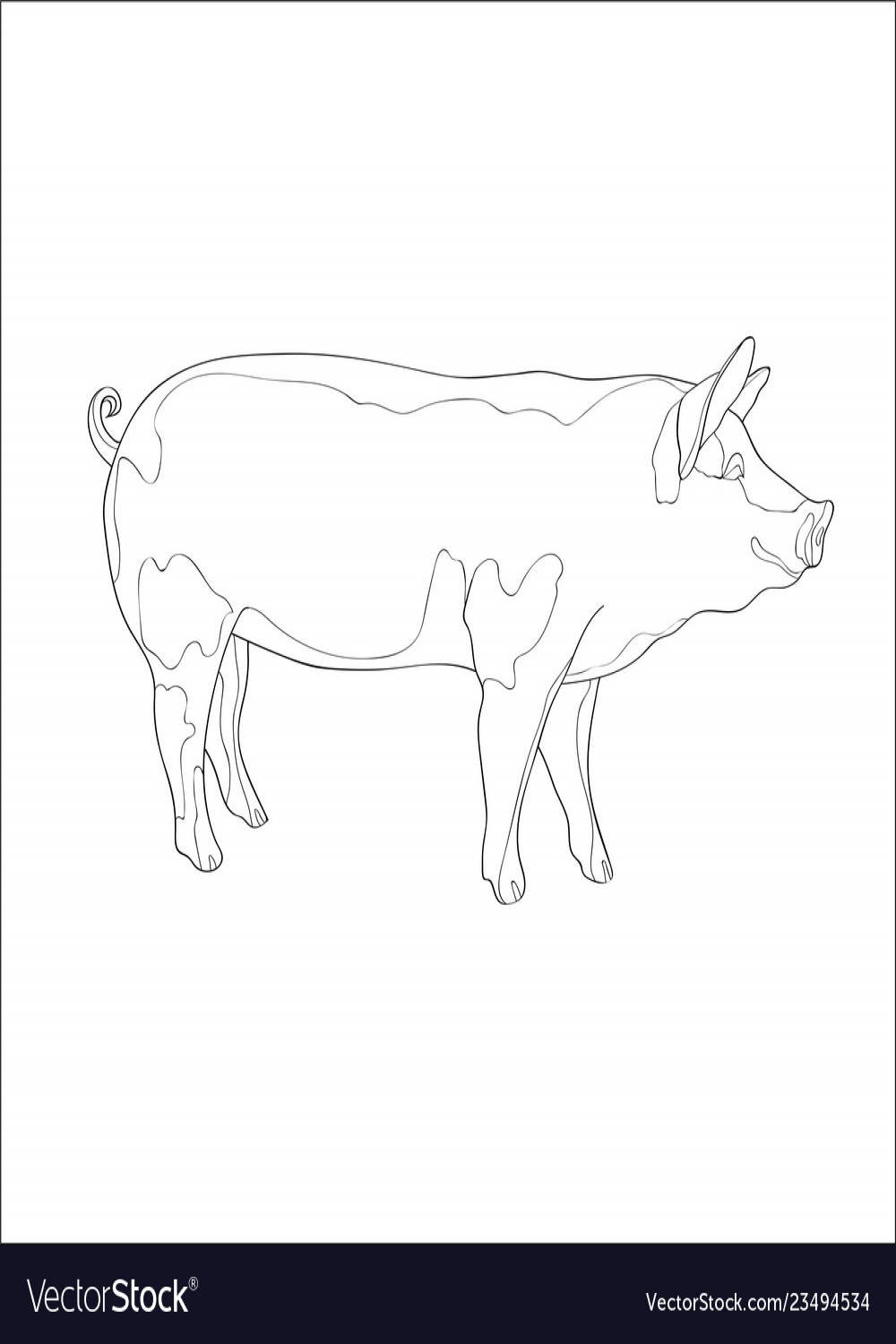 Pig side view line Royalty Free Vector Image - VectorStock