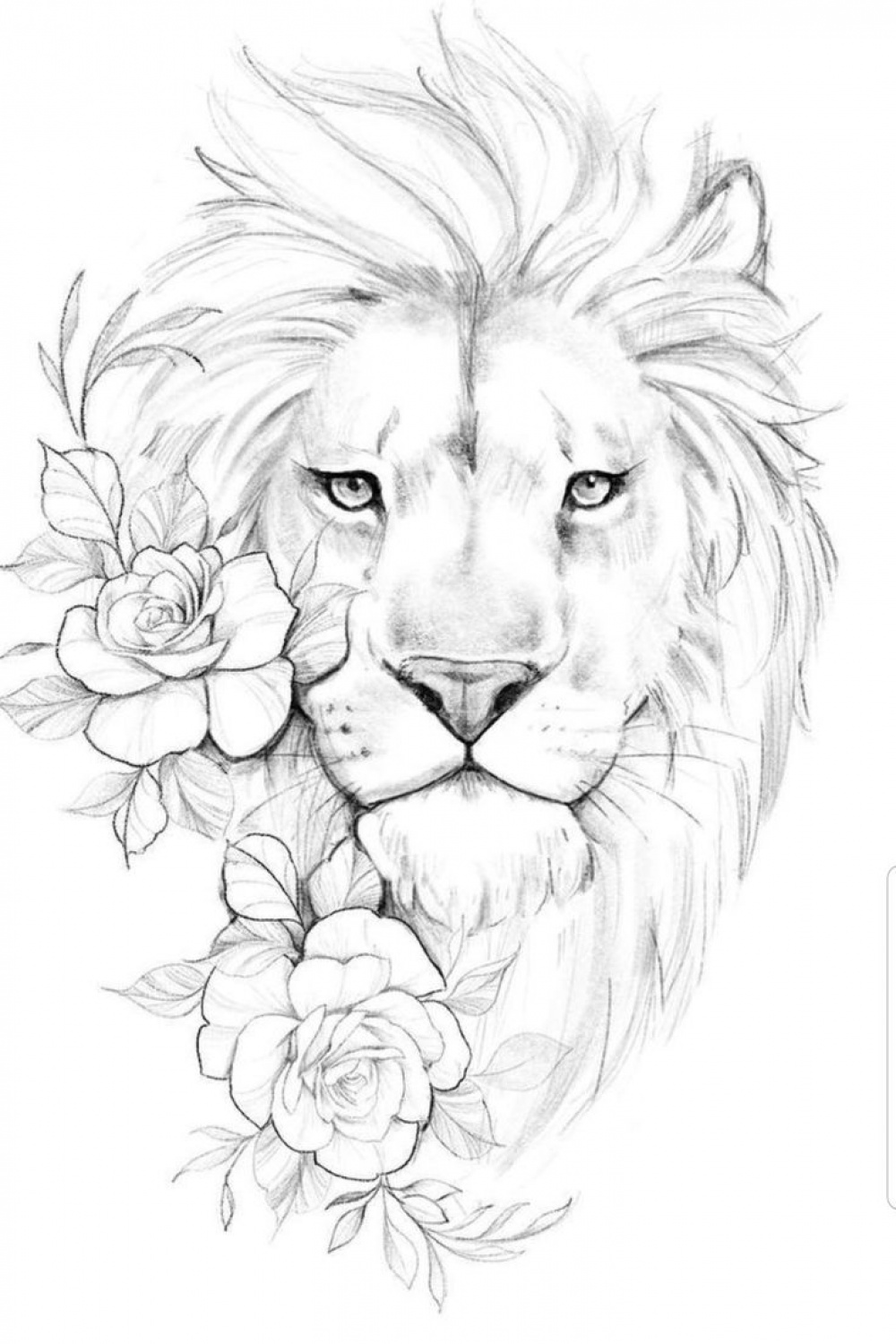 Pin by Luis Carlos on femininas  Lioness tattoo, Lion tattoo