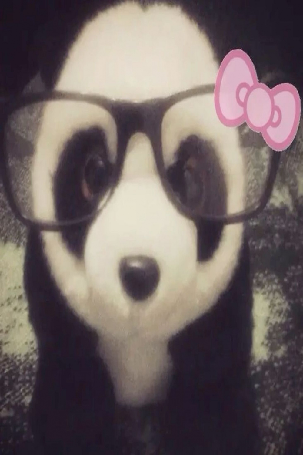 Pin by NagitoHearts on Profile picture icons   swag era