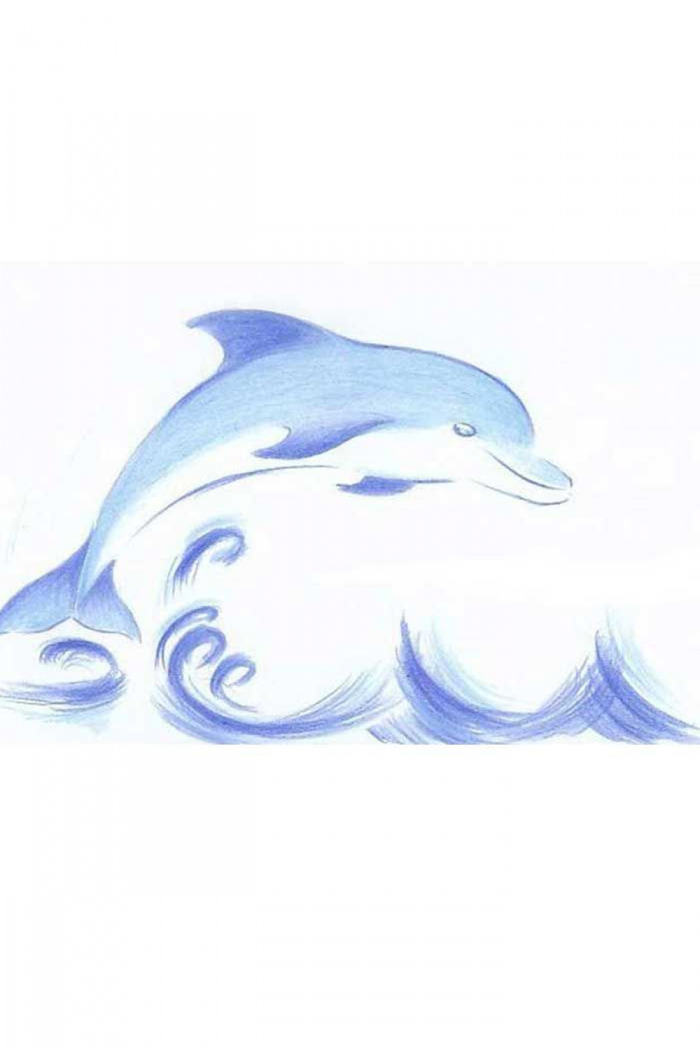 Pin on ♥ Dolphins ♥