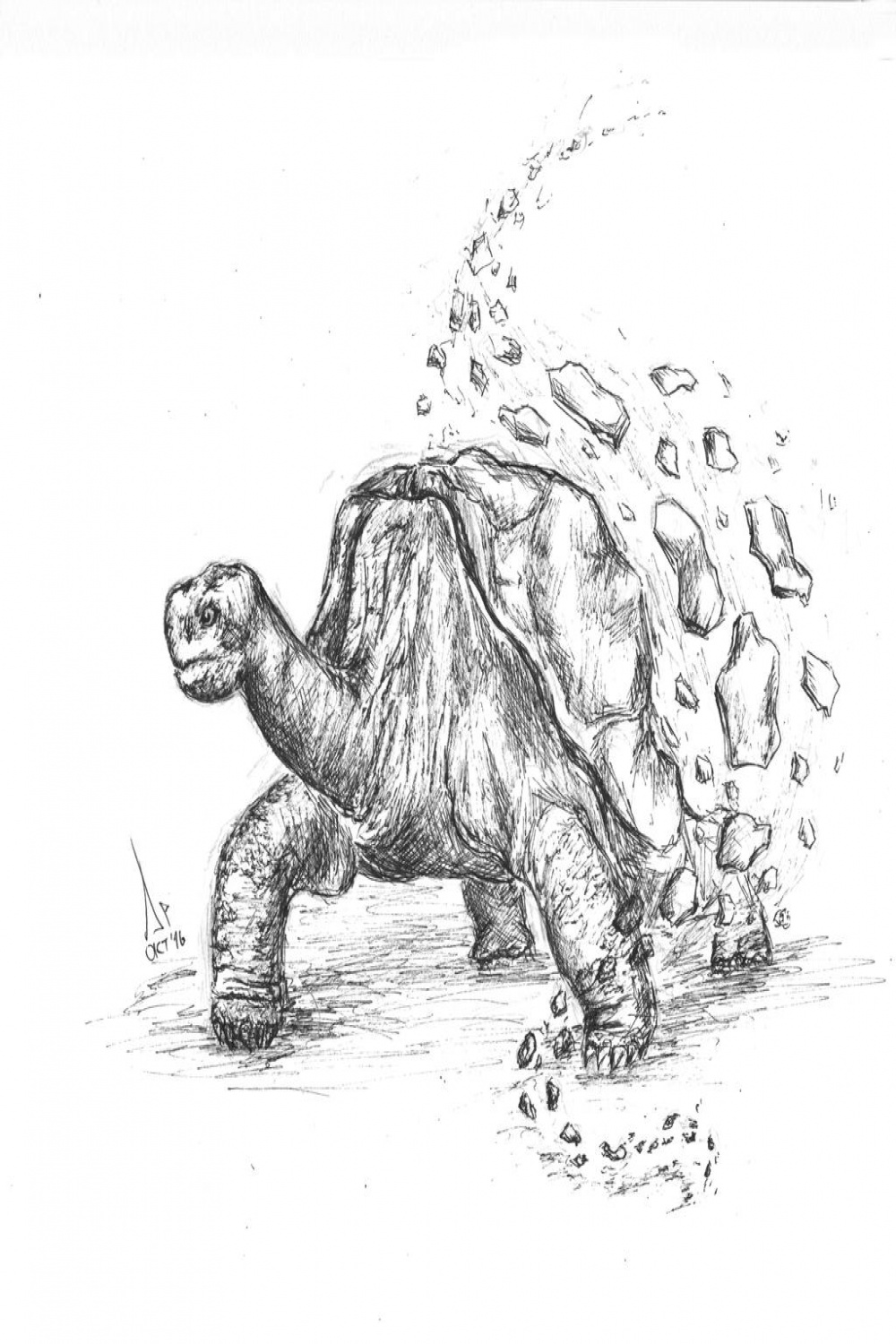 Pinta Island Tortoise by Andrew-AR on DeviantArt
