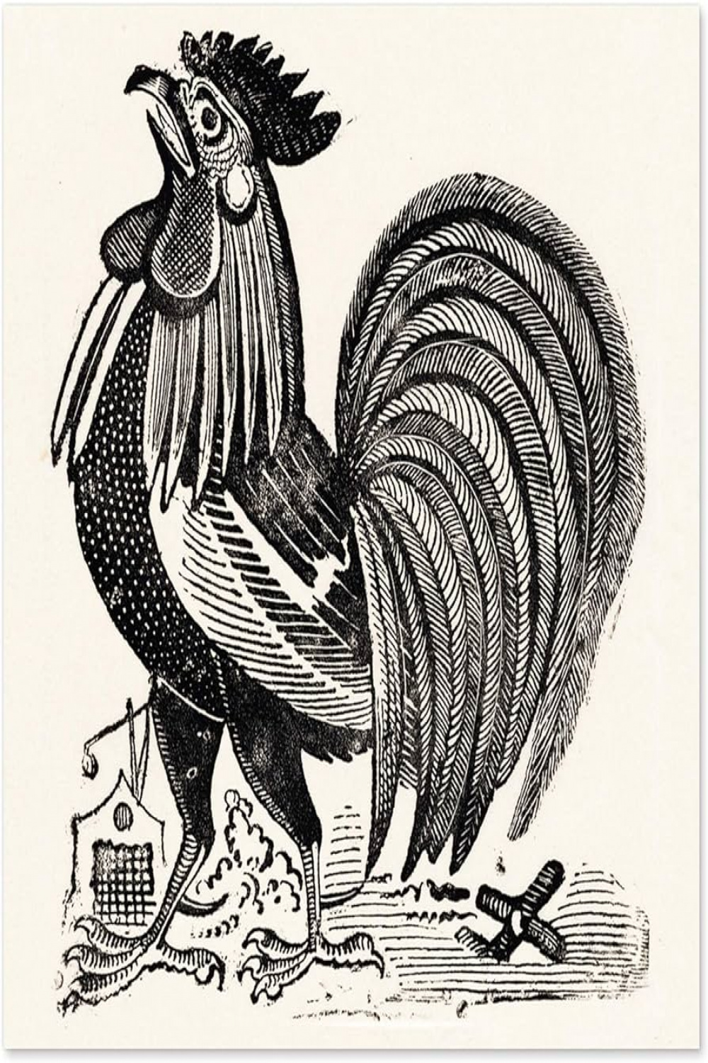 Posada Rooster Chicken Cock Engraving Drawing Premium Wall Art Canvas Print  X Inch Zeichnung Wand