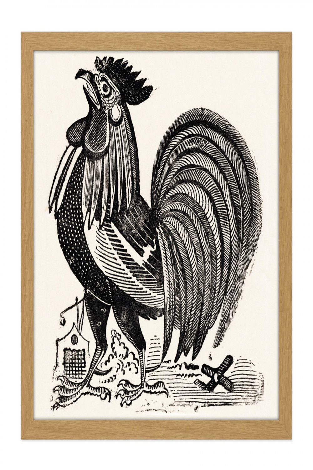 Posada Rooster Chicken Cock Engraving Drawing Square Wooden Framed Wall Art  Print Picture X Inch Zeichnung Holz Wand Bild