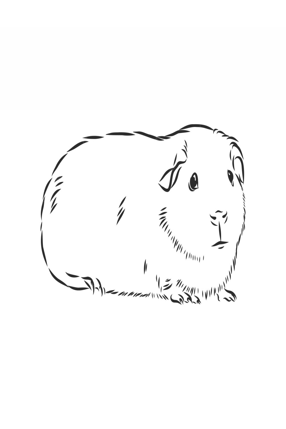 Premium Vector  Cute guinea pig pet vector sketch illustration
