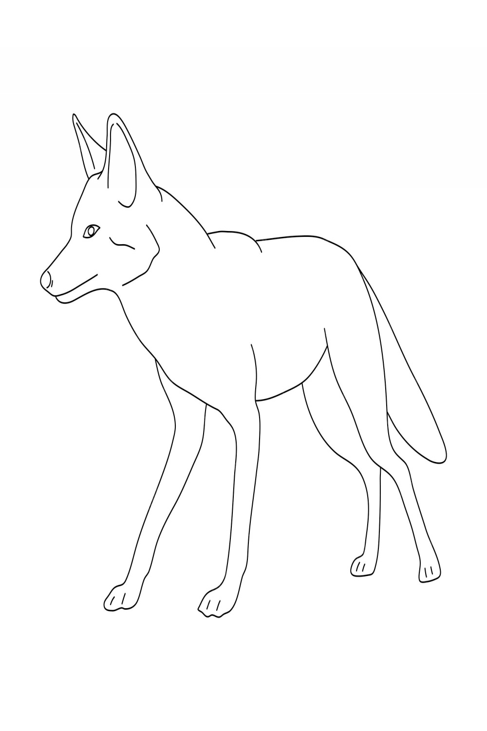 Premium Vector  Sketch of jackal hand drawn vector illustration