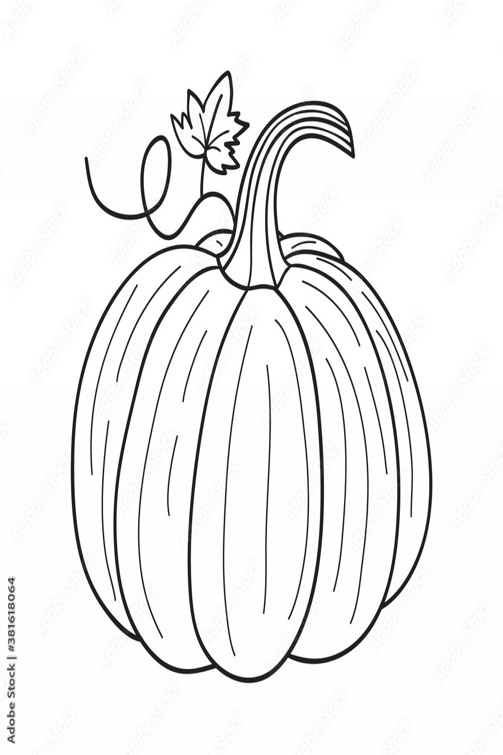 Pumpkin for coloring book