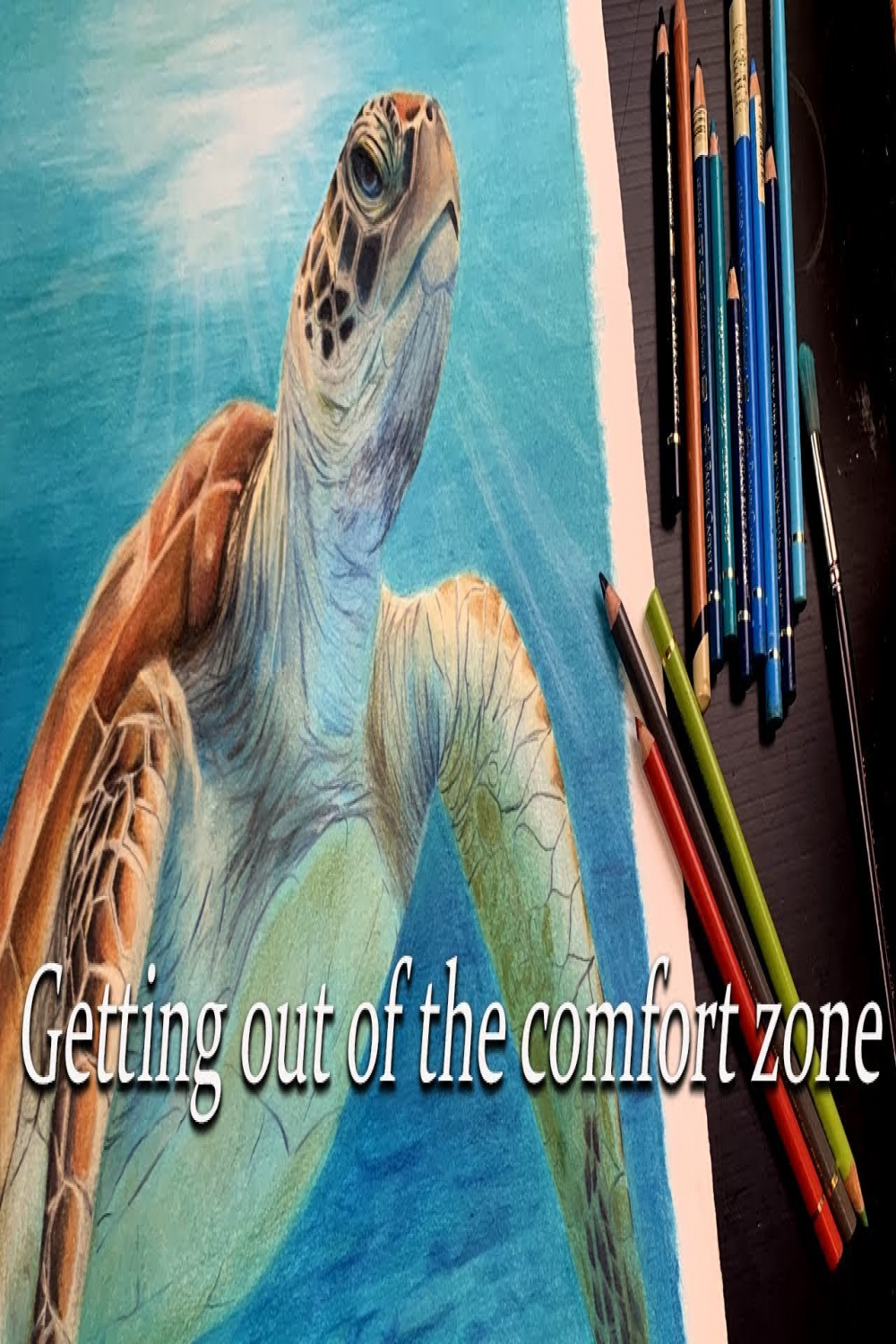 Pushing my Boundaries - Drawing a Sea turtle in color pencil