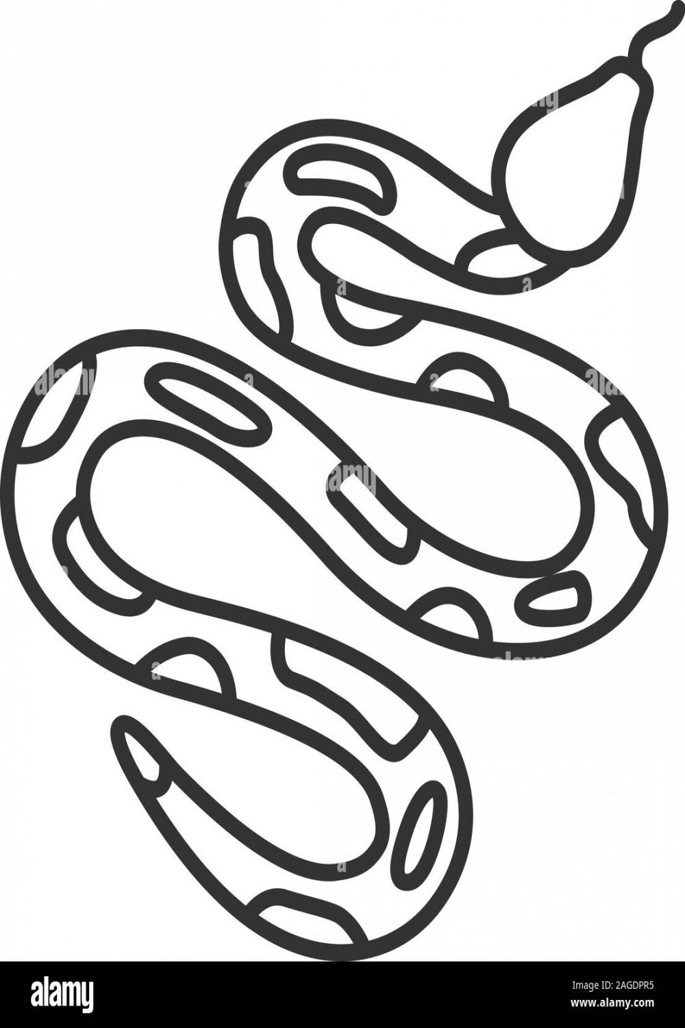 Python drawing hi-res stock photography and images - Alamy