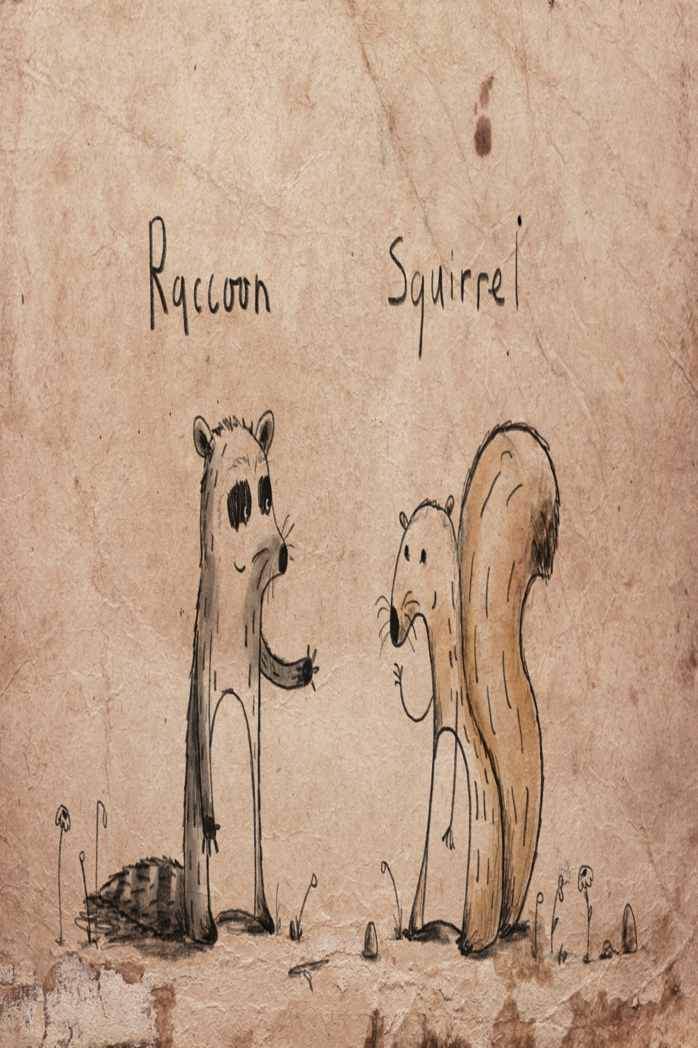 Raccoon and Squirrel