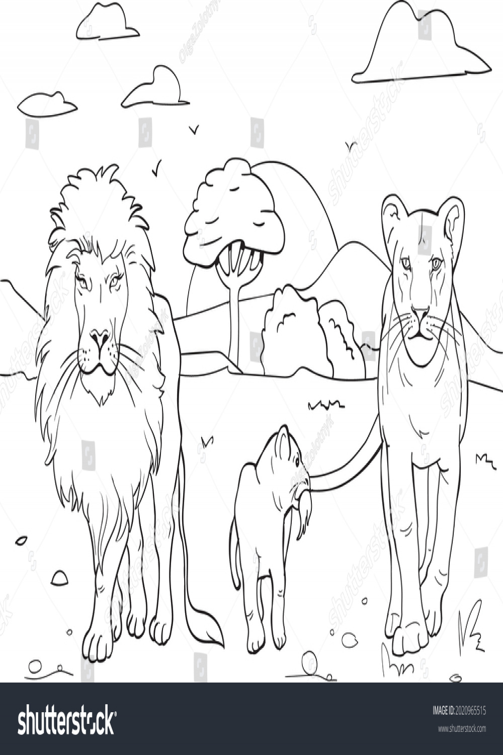 Realistic Lion Coloring Pages Family Lions Stock Vector (Royalty