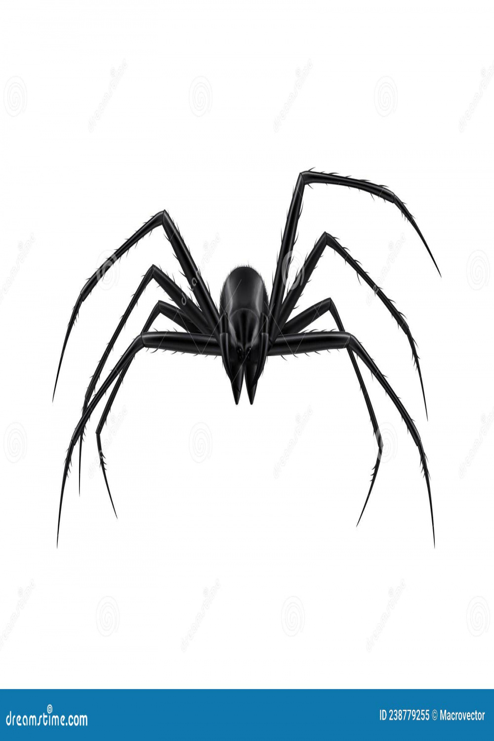 Realistic Spider Illustration Stock Vector - Illustration of toxic