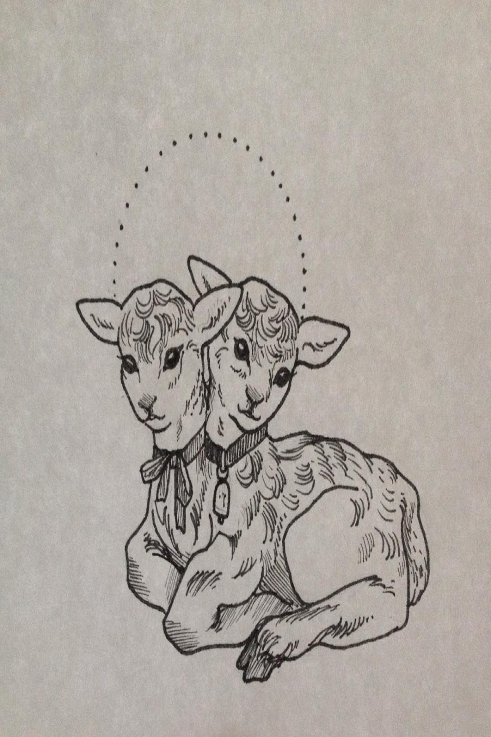 Rebecca Baran on Instagram: “Drew up another two headed lamb