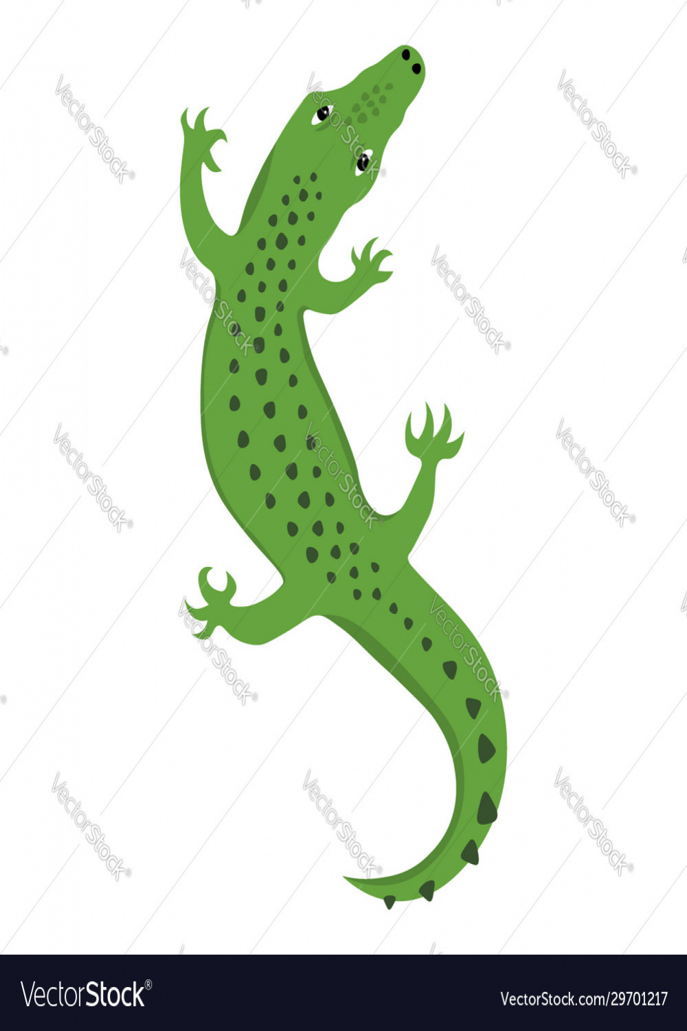 Reptile lizard or alligator crocodile top view Vector Image
