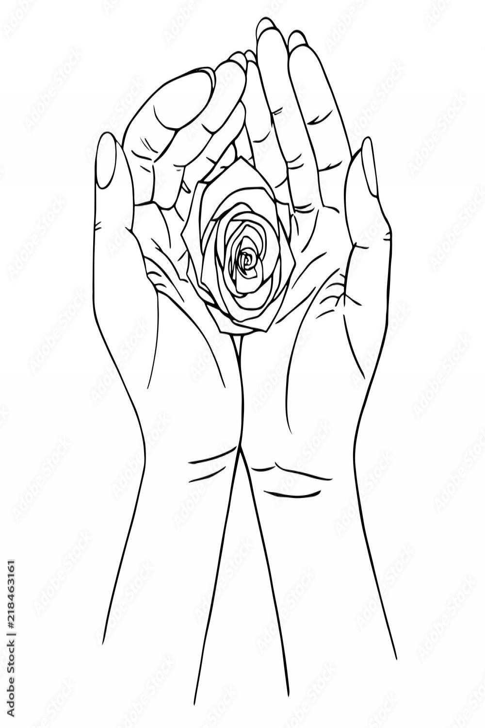 Rose in hands, hand drawing Stock-Vektorgrafik  Adobe Stock