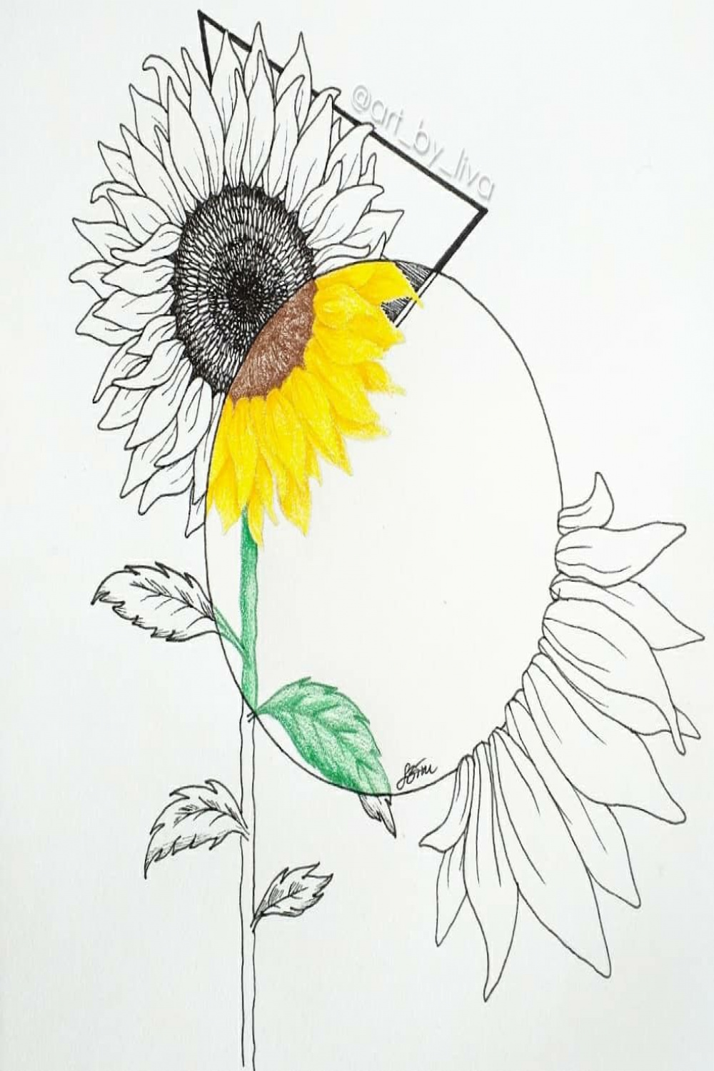 Sandi Sakowski adlı kullanıcının Drawing- Flowers panosundaki Pin