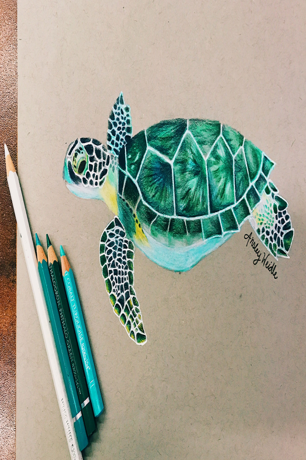 Sea turtle using colored pencil against grey paper