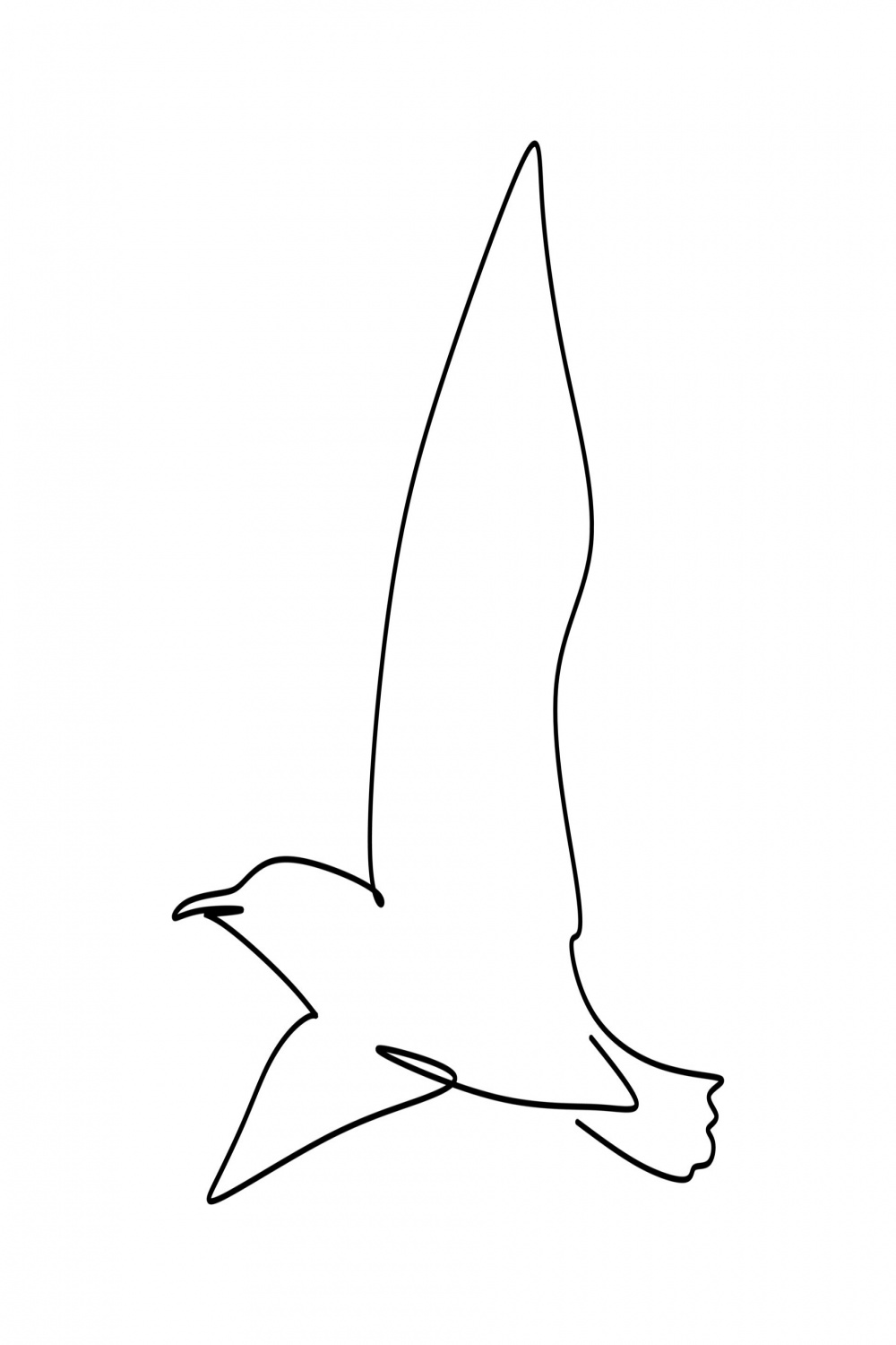 Seagull continuous line drawing in outline style isolated on white