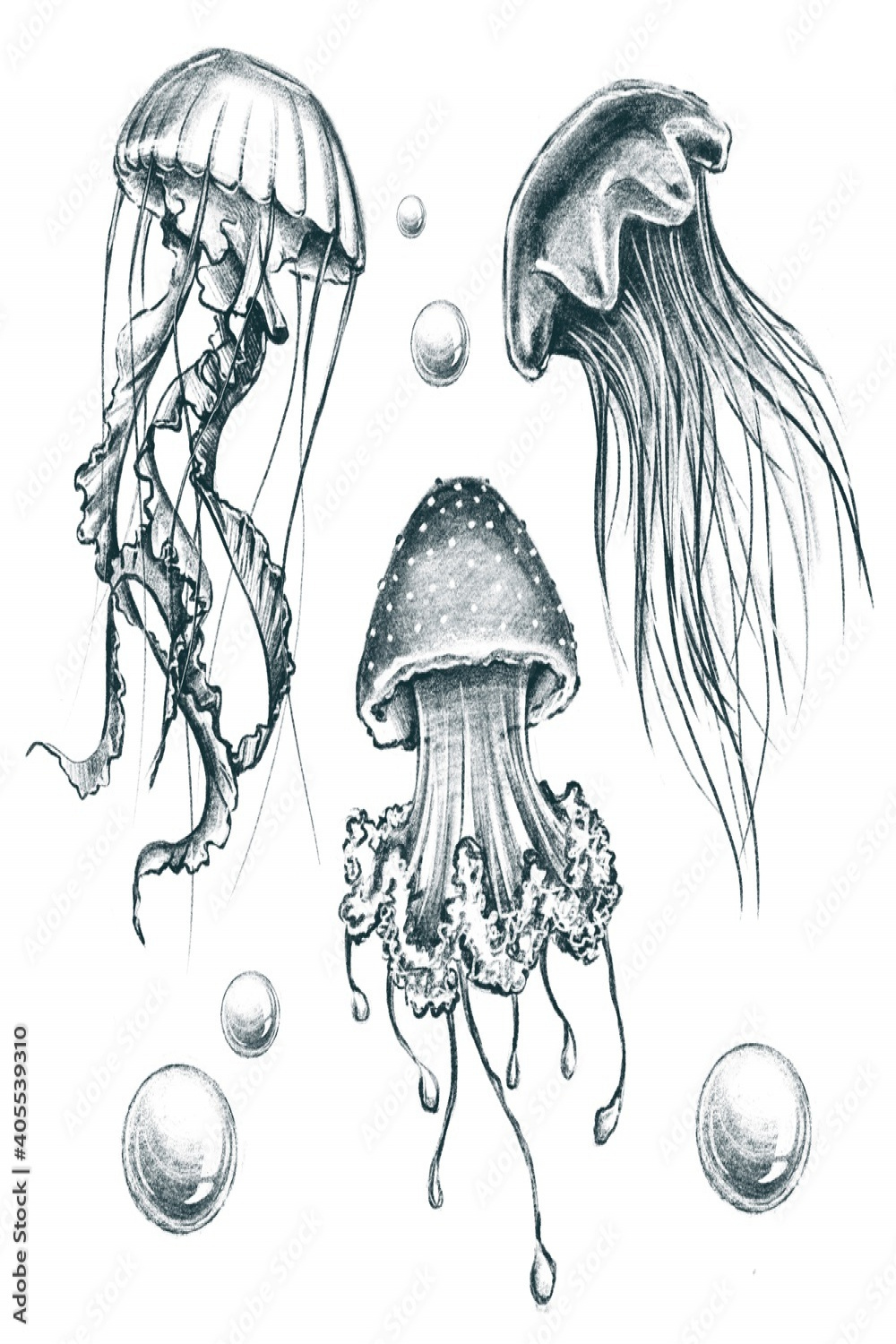 Set of jellyfish. Graphic elements for design