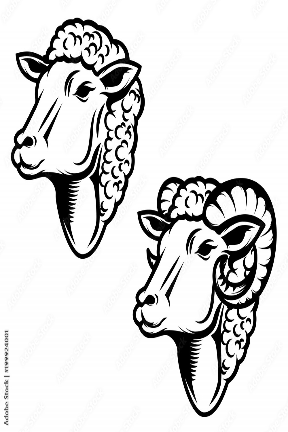Set of sheep head illustration. Ram head