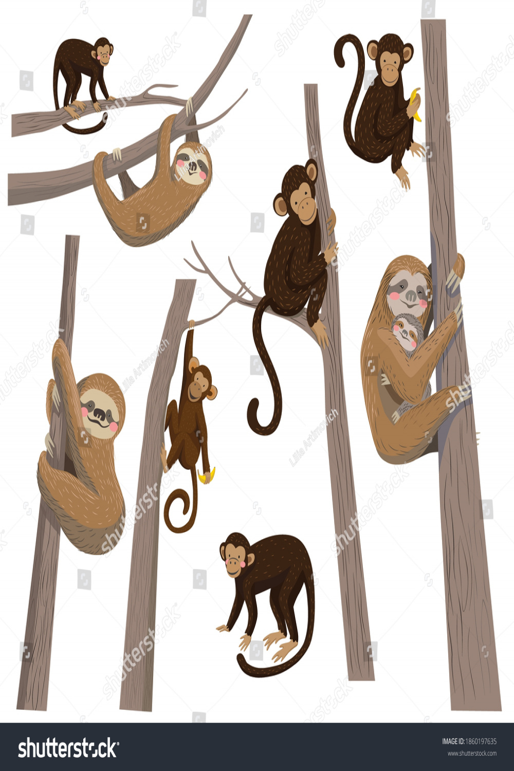 Set Vector Illustration Sloth Monkey Monkey Stok Vektör (Telifsiz