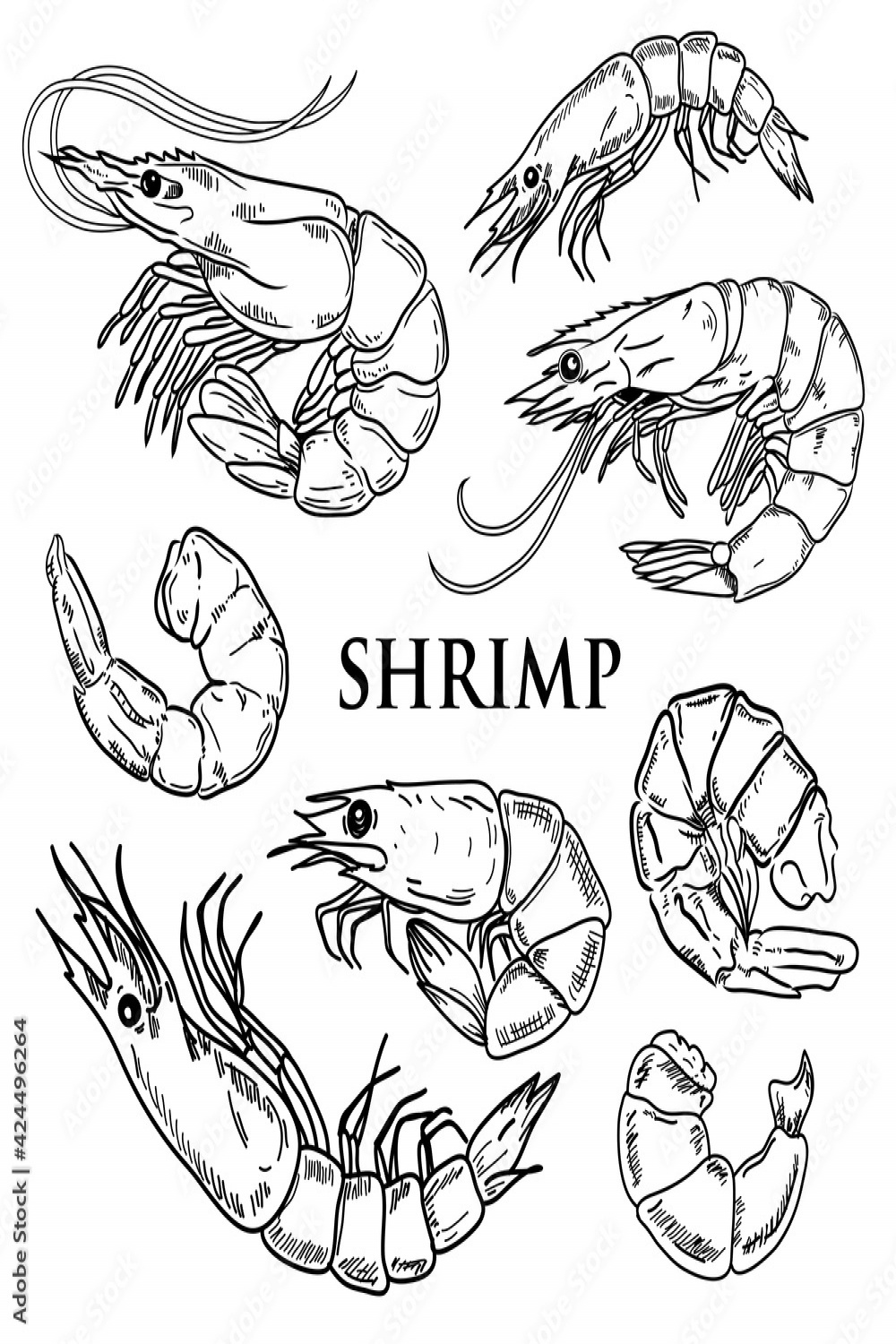 Shrimp prawn icons set