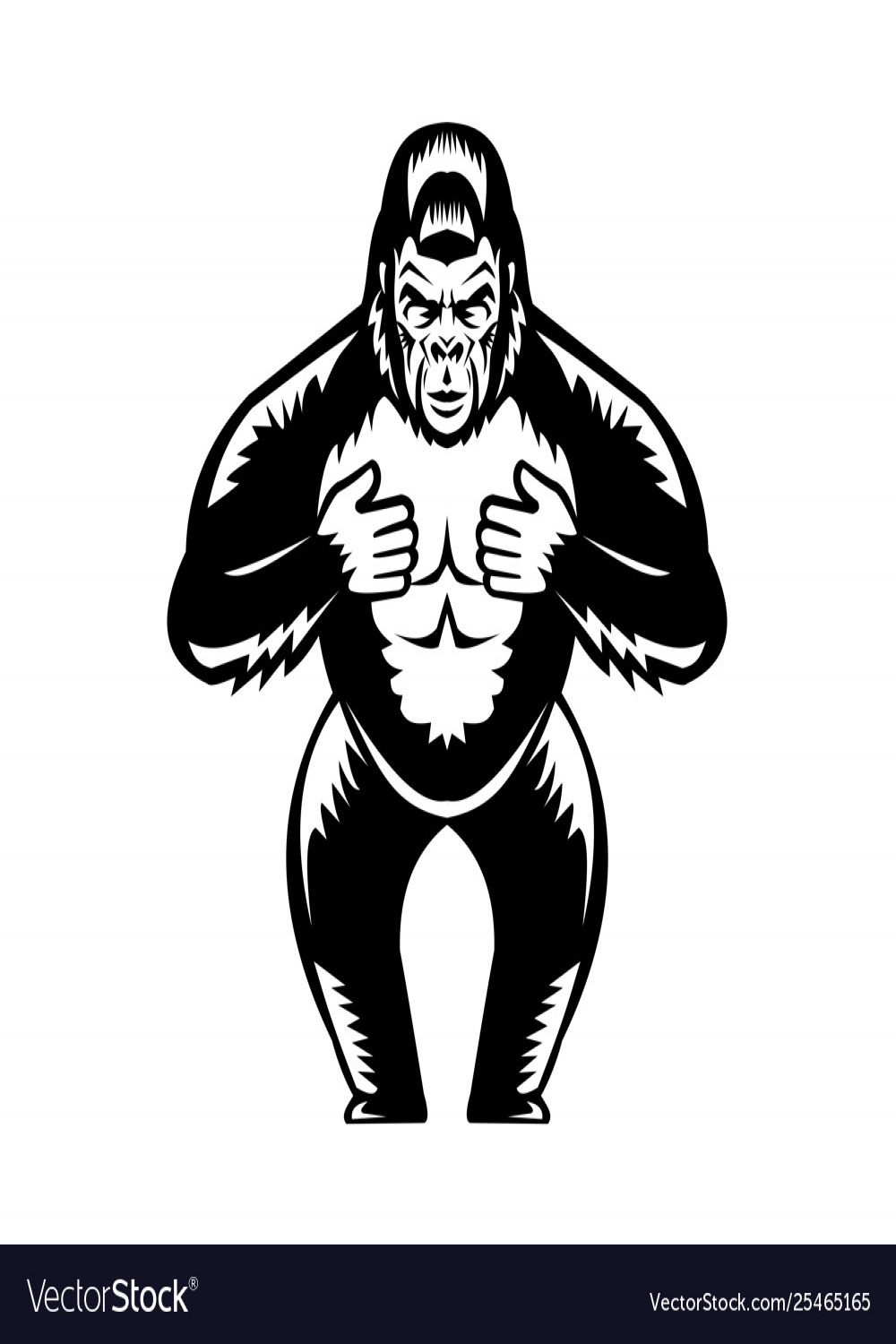Silverback gorilla beating chest woodcut Vector Image