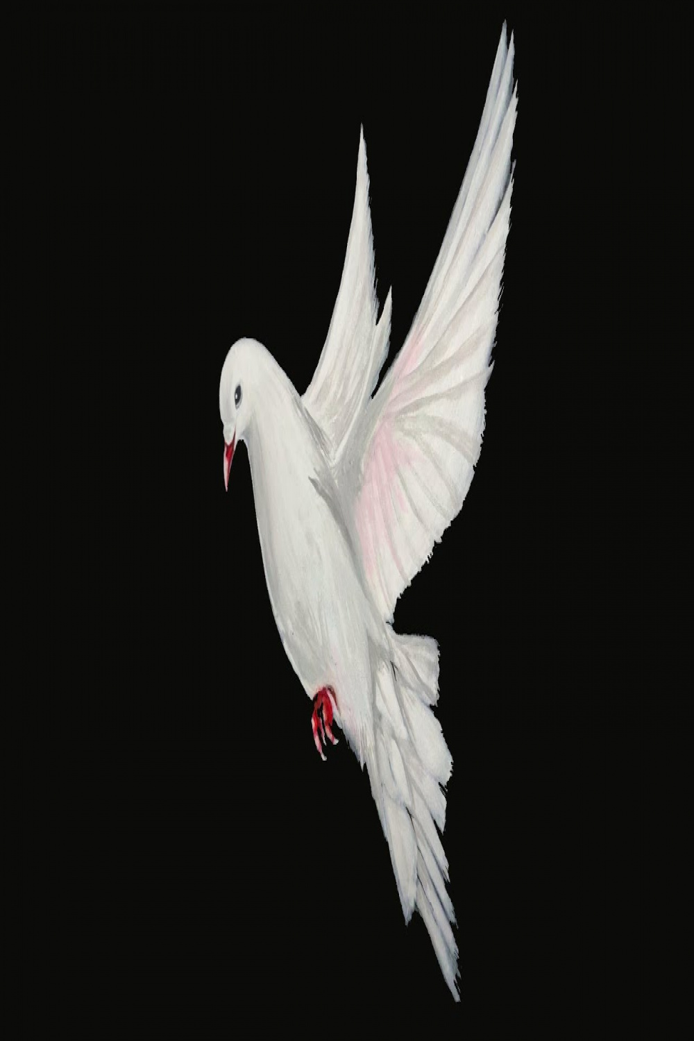 Simple Pigeon Acrylic Painting
