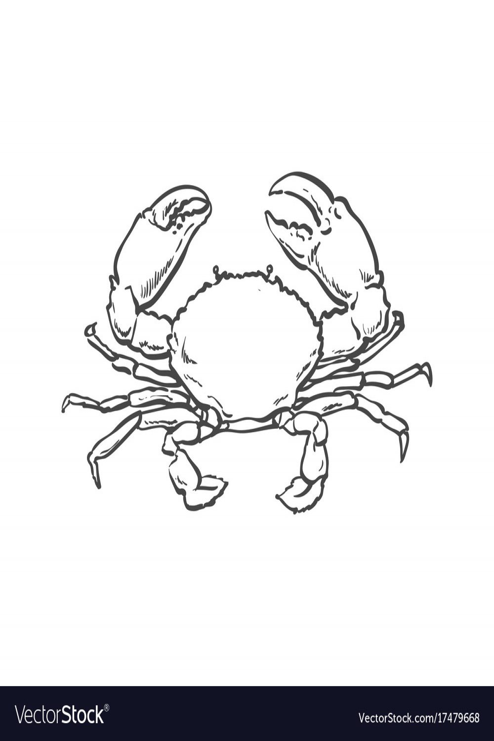 Sketch cartoon sea crayfish crab isolated Vector Image