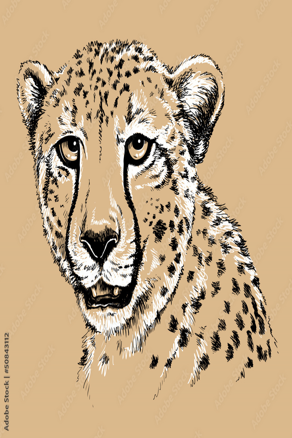 Sketch of a Cheetah