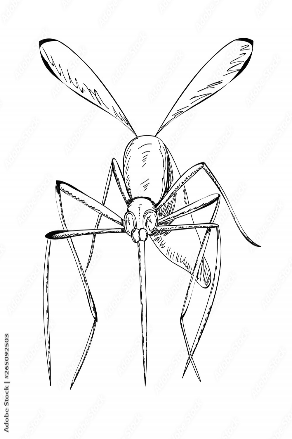 sketch of a mosquito flying Stock-Vektorgrafik  Adobe Stock