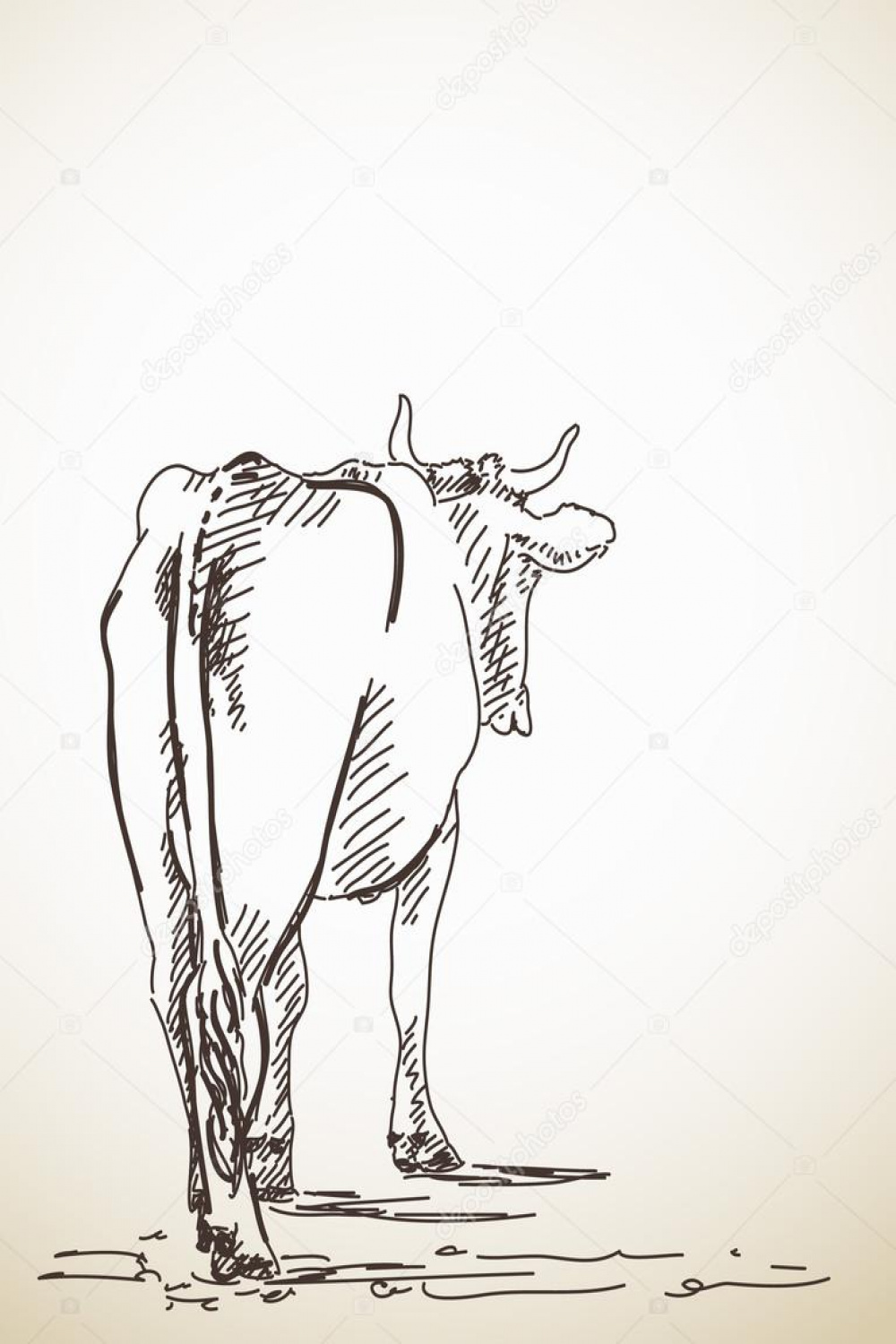 Sketch of standing cow Stock Vector by ©OlgaTropinina
