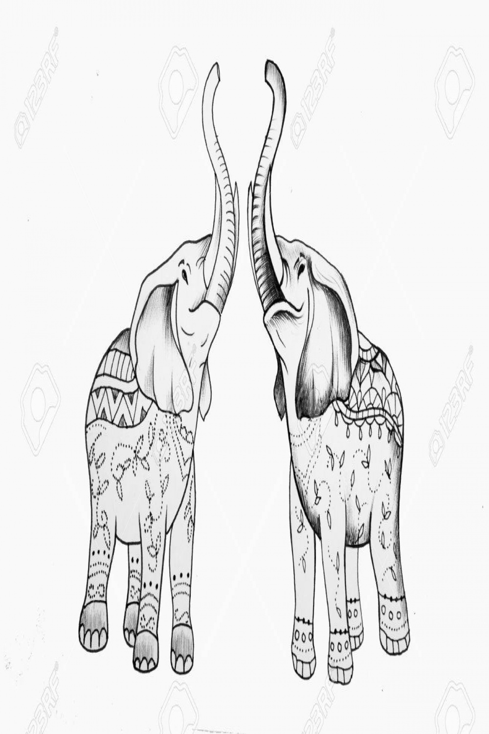 Sketch Of Two Elephants In Patterns On A White Background