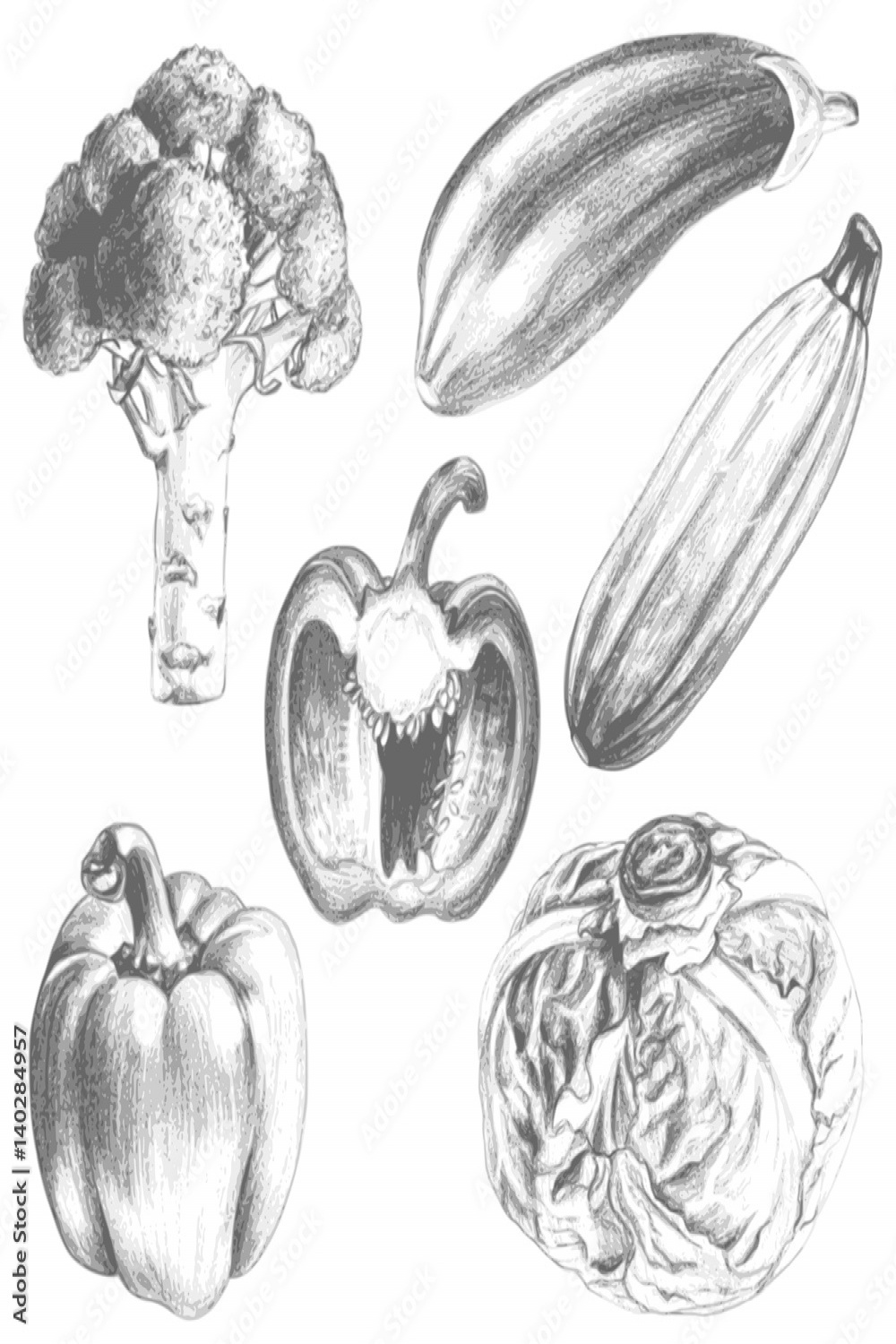 Sketch vintage vegetables set illustration, draft silhouette