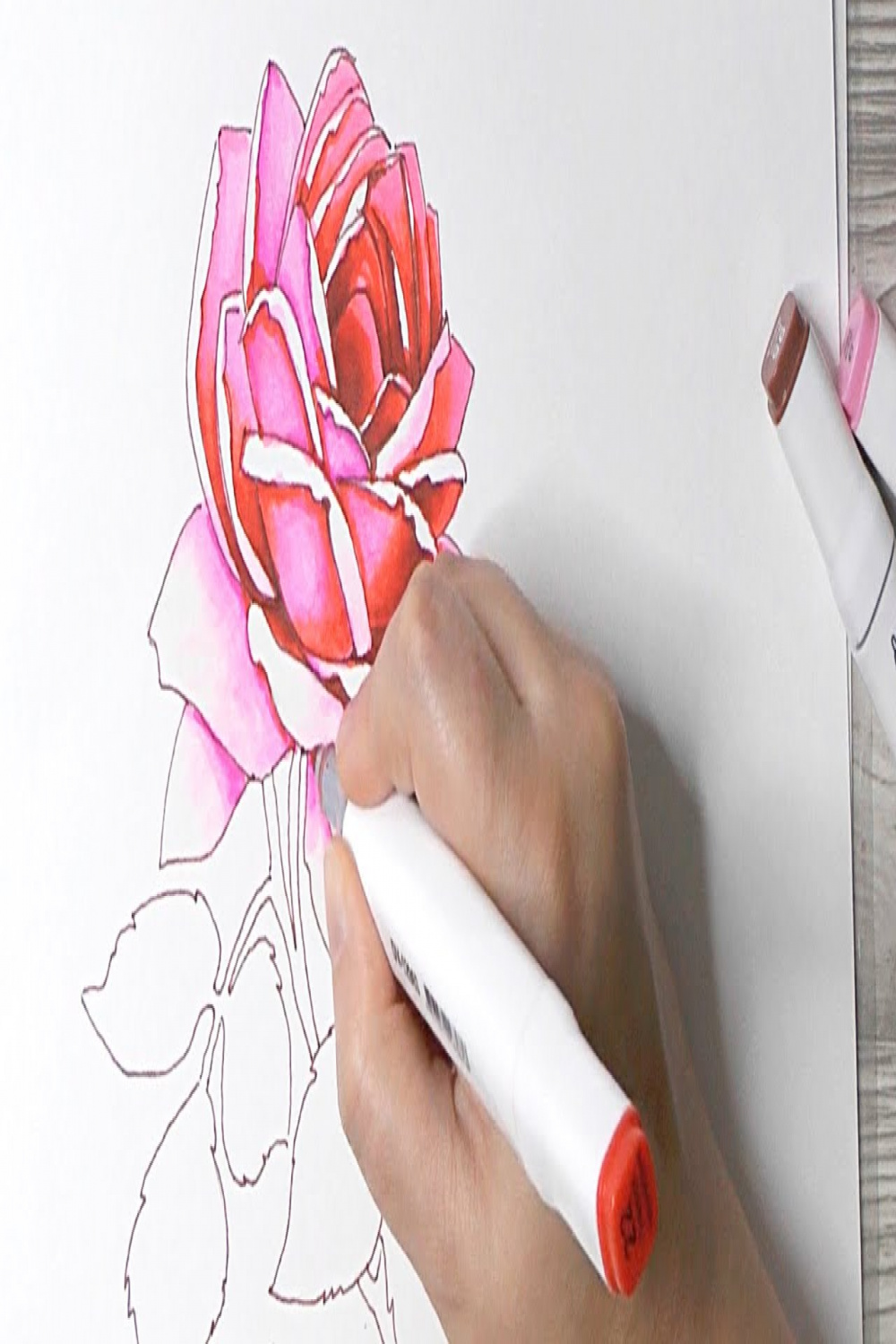 ✍Sketching with markers, How to draw a rose, Tutorial - YouTube