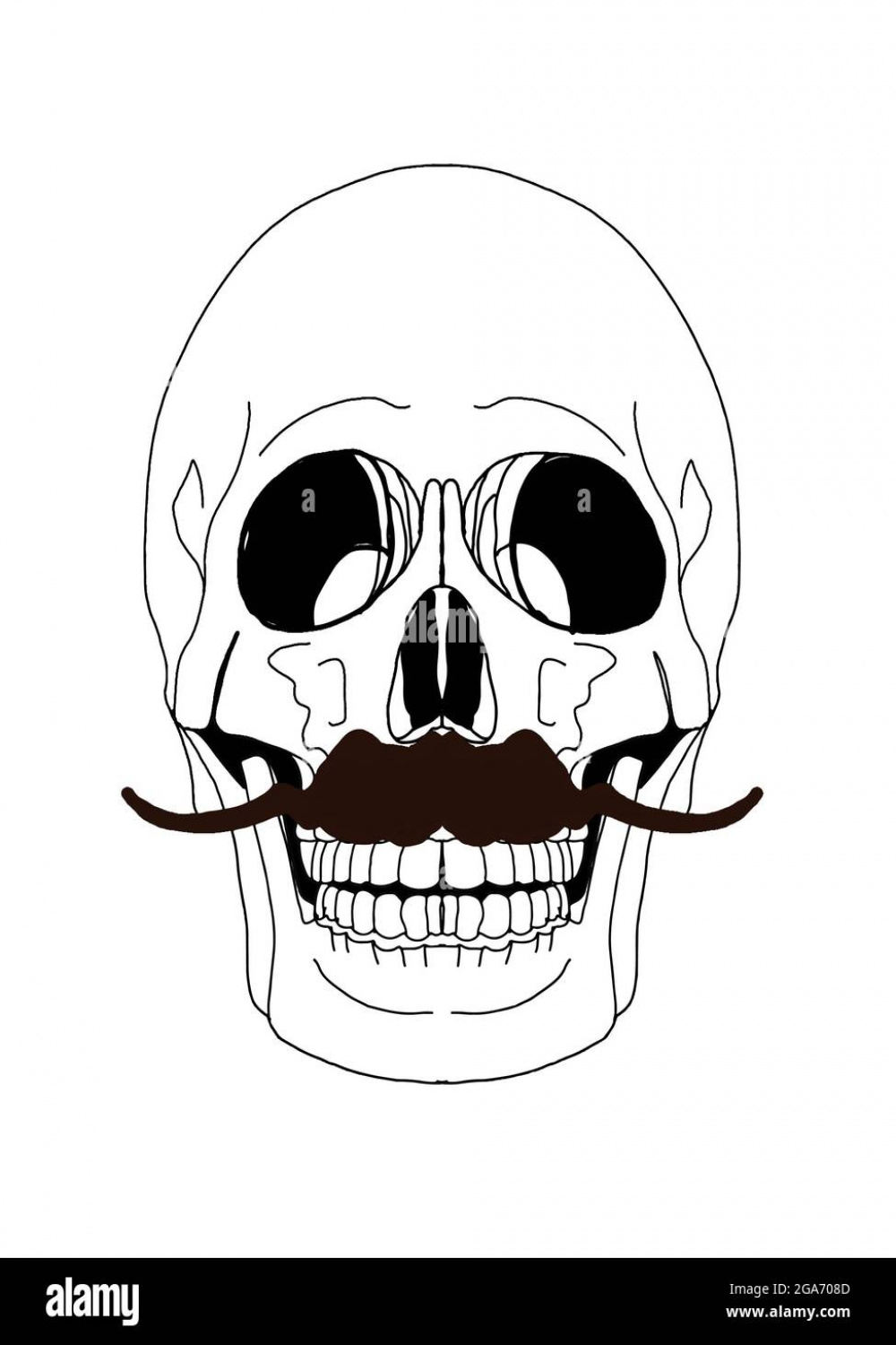 Skull , drawing illustration Stock Photo - Alamy