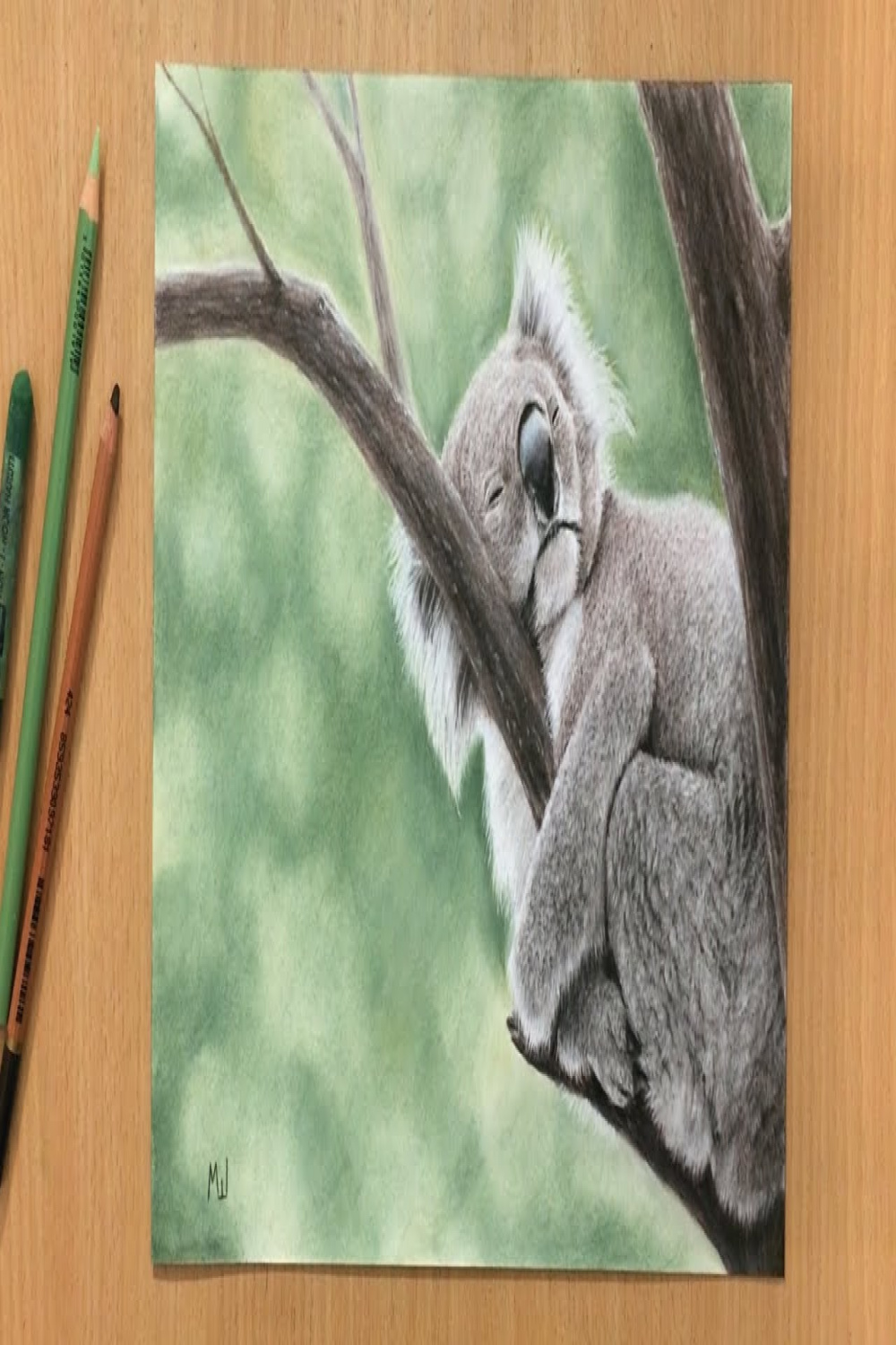 Sleeping Koala Pastel Drawing - Australian Wildlife