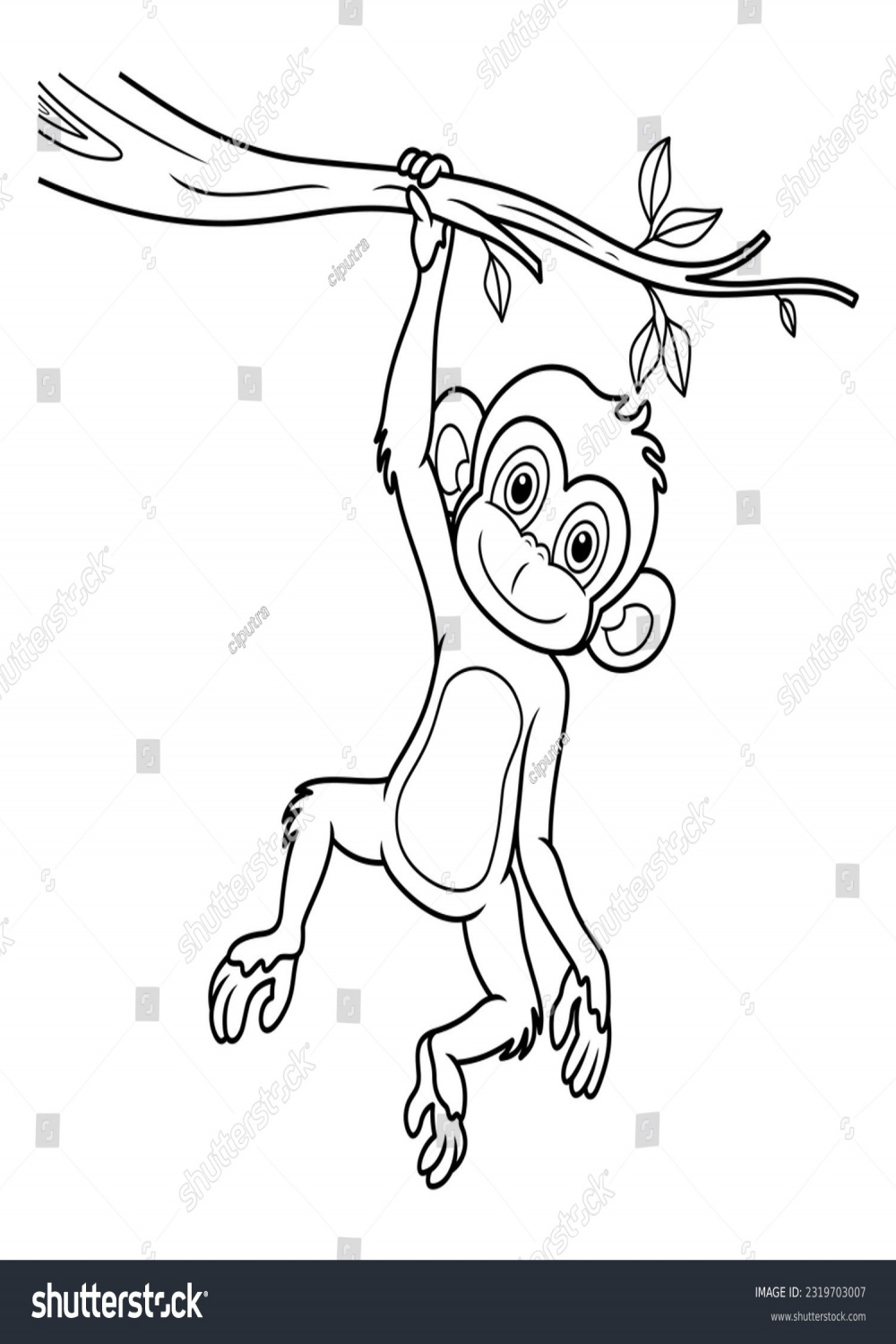Small Gorilla Hanging Tree Images, Stock Photos, D objects