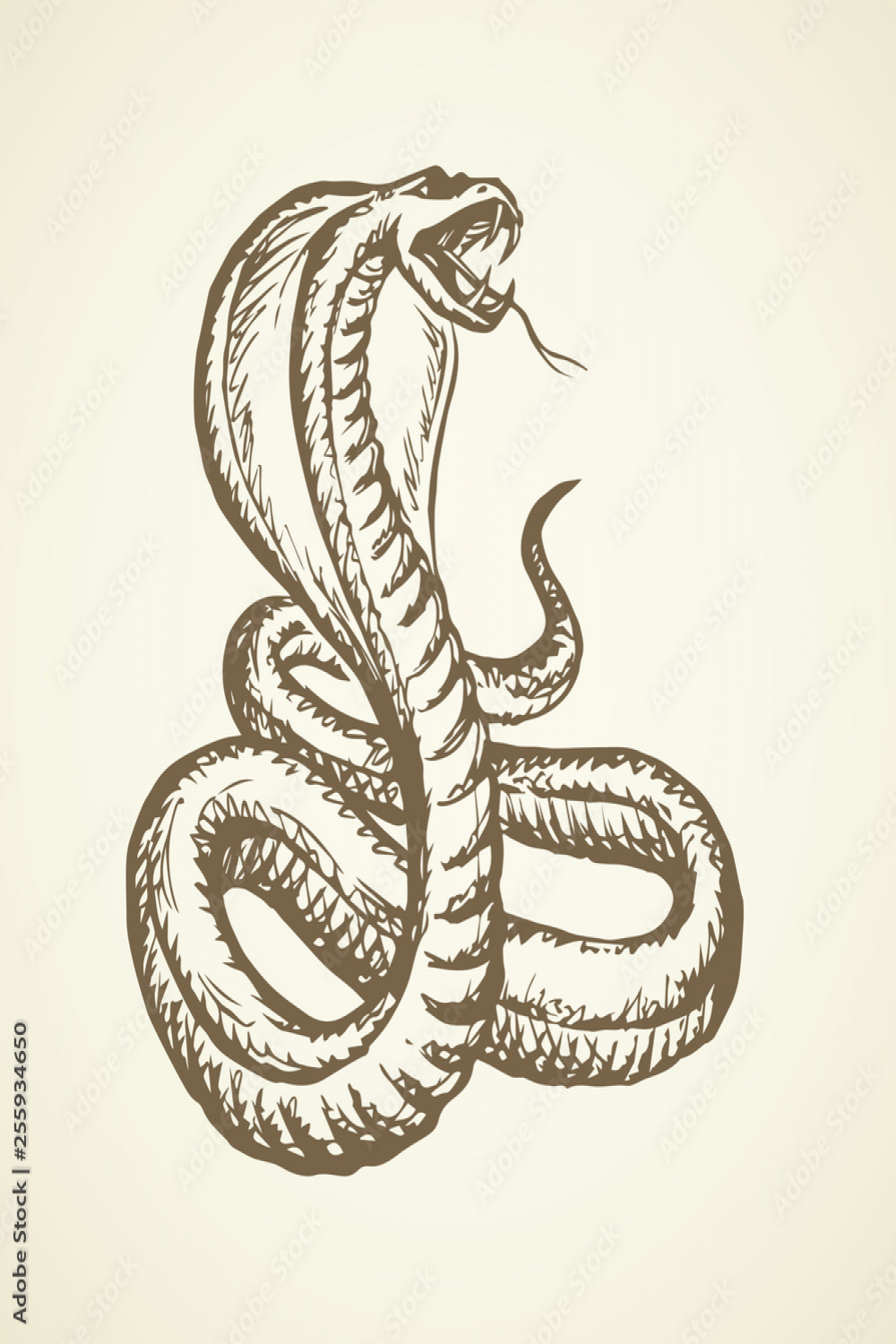 Snake
